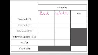 Chi Square Analysis Part 3