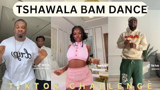 Tshawala Bam Tiktok Dance Challenge Compilation l Davido l Don Jazzy