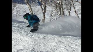 Japow 2020