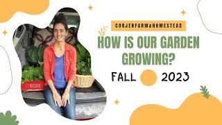 2023 Fall Market Garden update