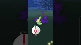 How to Beat Team Rocket Go Grass Type Grunts | Shadow Cacnea Encounter