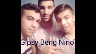 Gipsy Beng Nino 2017 pale fajta