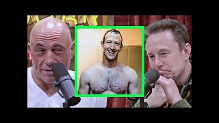 He Chickened out!    Elon EXPOSES Zuck to Joe Rogan