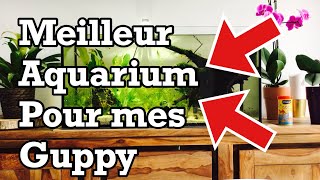 meilleur aquarium pour guppy