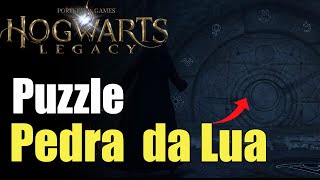 Como solucionar puzzle pedra da lua missão UM PASSARO NA MAO - Hogwarts Legacy