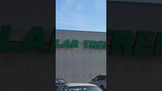 New Dollar Tree 🌳