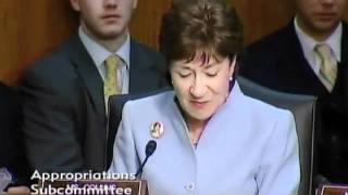 Senator Collins pushes for potatoes to be included in school lunch and WIC programs