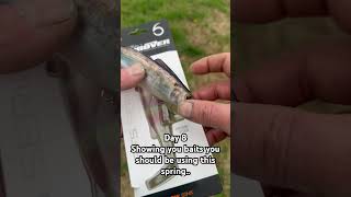 Day 8 Showing you baits to use this spring 2024 6th sense hangover Swimbait