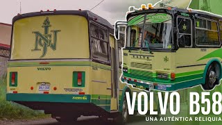 VOLVO B58 | BUSES PZ