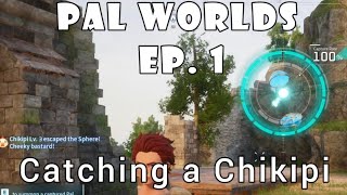 PalWorld- Ep. 1: Catching a Chikipi-Starter Base