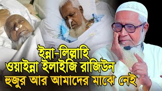 আল্লামা লুৎফুর রহমান আমাদের মাঝে আর নেই৷ Allama Lutfur Rahman waz video 2024