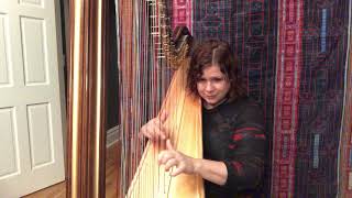 Albany Symphony Harpist Lynette Wardle, Live From Home