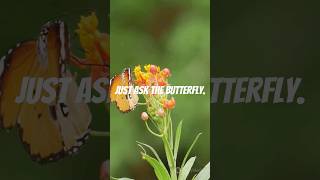 The Caterpillar's Painful Transformation_ #shorts #trending #motivation