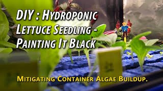 DIY: Hydroponic Lettuce Seedling Container Algae Mitigation - Painting It Black