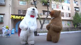 Toshkent Raddom Ayiqlar o'ynashi Ayiqlar raqsi / медведий танец / Bear dance