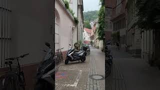 Old town of Heidelberg. The most beautiful city in Germany! #travel #tram #birds #spring #nature