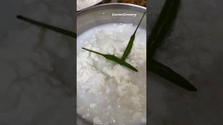 Odisha's Soul Food"pakhala"..❤️#hosteller #dahipakhala#weekendfun#youtubeshorts#viralshorts#trending