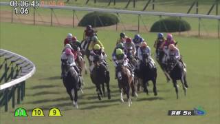 2016/11/26 京都5R  2歳新馬　ミリッサ（タイムコード・ヴァーチャルライン入り）