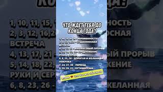 Какие знаки Зодиака сходятся по любви  #астрология #гороскоп  #знакизодиака