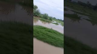 Heavy Rain in Pakistan 2024