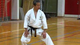 Kagawa-sensei demonstrates the beginning of kata Nijushiho