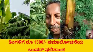 ತಿಂಗಳಿಗೆ ರೂ 1500/- ಸಮಾಲೋಚನೆಯ ಬಂಪರ್ ಫಲಿತಾಂಶ Banana plantation ಬಾಳೆ ಕೃಷಿ