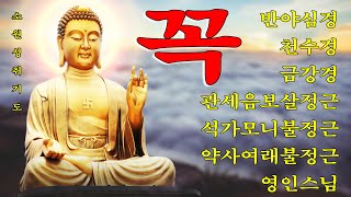 대운이 들어오고, 만사대길하는 불경 🙏 반야심경,천수경,금강경,관세음보살정근,석가모니불정근,약사여래불정근,화엄경약찬게 - 영인스님