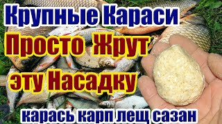 Быстрая Насадка на Карася Карп Лещ Супер Рыболовная насадка для карася