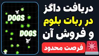 برای گرفتن توکن‌ داگز در بلوم این شرط اجباریه🔥 طوفان داگز بلوم فقط چند روز هست