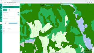 Tutoriel 6 – Outil « Dessin » de Forêt ouverte