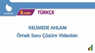 6. Sınıf Türkçe - 2. Ünite Kelimede Anlam Örnek Soru Çözümleri