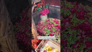 Mira datar dargah Urs stetus|whatsapp qawwali status|2024new qawwali|Famous qawwali|mira data