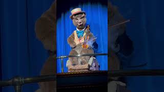 The NEW Country Bear Jamboree Show at Magic Kingdom #disney #shorts #bear #magickingdom #music