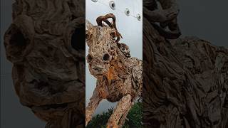 Beautiful wooden horse wood sculptures #foryou #sculpture