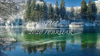 SZUZ 2020 FEBRUAR