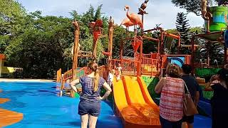 Small kids enjoying in water park Singaporean