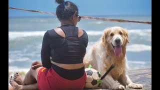 Weekend at Varkala | Cliff beach | Kerala | #dogvlog | vlog #58