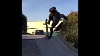 Fox Brunner Mini Edit (5 years old)