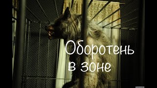 "Оборотень в зоне". Страшные истории у костра.