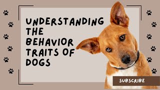 Understanding the Behavior TRAITS of DOGS