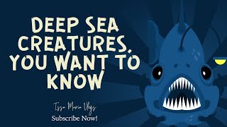 Deep Sea Creatures You Want To Know | Animals in the deepest part of the Ocean | Issa Maria Vlogs