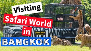 Safari World 𝐁𝐚𝐧𝐠𝐤𝐨𝐤 | Ultimate Guide to Marine Park & Safari Park