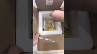 Shipping Fresh Fruit with LUNA ICE: A Guide #LunaIce #FrozenFruit #HealthyShipping