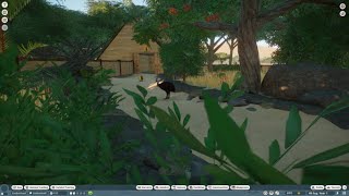 Planet Zoo - Australia pack episode 2 - Southern Cassowary