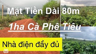 Cần nhượng lại 1 ha cafe. Tiêu. Sầu riêng. Vải thiều nhà xây. Điện nước đầy đủ.mặt tiền dài