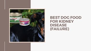 Best Dog Food for Kidney Disease (Failure)