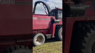 7400 case international silage harvester in action