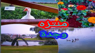 أجواء رائعة بالمنتزه الايكولوجي بوجدة   Le Parc Ecologique D Oujda