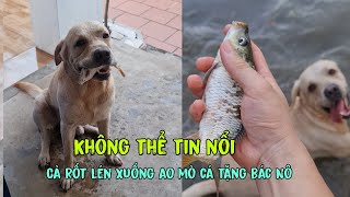 Cà Rốt lén xuống ao mò cá tặng bác Nô, chuyện thật khó tin