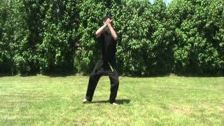 Long Knife Hand Strike in L Stance Basic Form